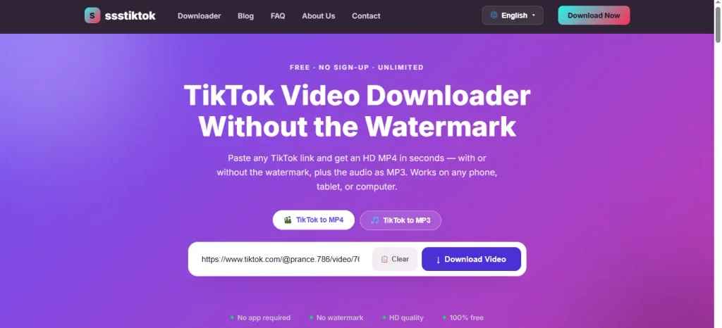 The desktop interface of the ssstiktok website, showing a TikTok video link pasted into the input box with the 'Download Video' button clearly visible.