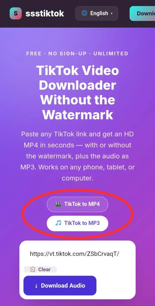 Format options on the best TikTok video downloader, highlighting "TikTok to MP4" and "TikTok to MP3" buttons with a red circle.