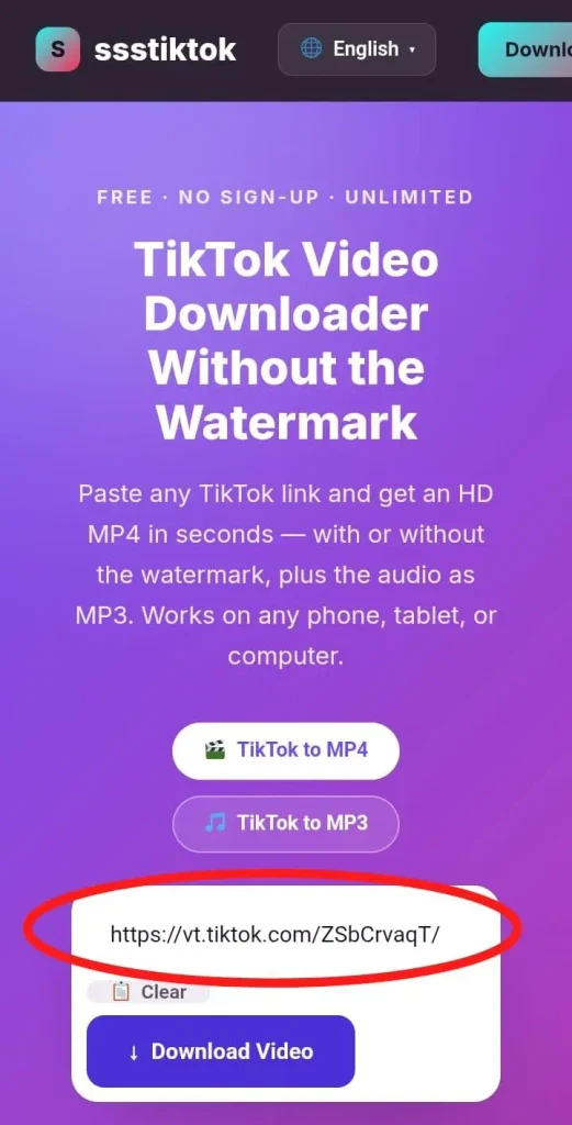 Interface of the best TikTok video downloader showing a red circle around the input field where the TikTok video URL is pasted.