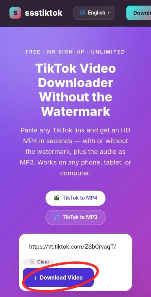 The final download step on the best TikTok video downloader website, with a red circle emphasizing the "Download Video" button.